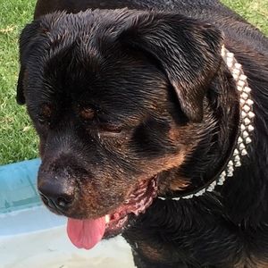 Meet your Posher, Tennille